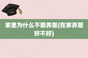 家里为什么不能养鳖(在家养鳖好不好)