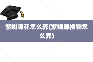 紫蝴蝶花怎么养(紫蝴蝶植物怎么养)