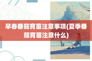 早春番茄育苗注意事项(夏季番茄育苗注意什么)