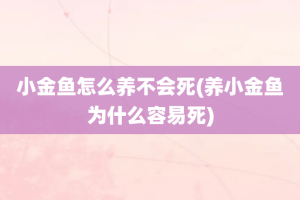 小金鱼怎么养不会死(养小金鱼为什么容易死)