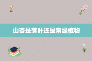 山杏是落叶还是常绿植物