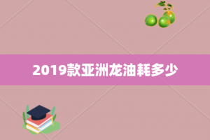 2019款亚洲龙油耗多少