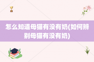 怎么知道母猫有没有奶(如何辨别母猫有没有奶)