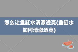 怎么让鱼缸水清澈透亮(鱼缸水如何清澈透亮)