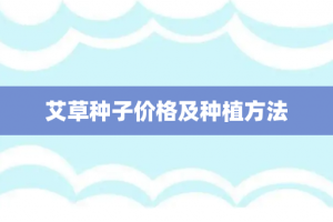 艾草种子价格及种植方法