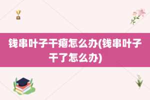 钱串叶子干瘪怎么办(钱串叶子干了怎么办)