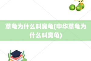 草龟为什么叫臭龟(中华草龟为什么叫臭龟)