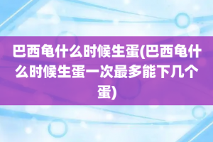 巴西龟什么时候生蛋(巴西龟什么时候生蛋一次最多能下几个蛋)