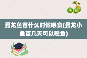 曼龙鱼苗什么时候喂食(曼龙小鱼苗几天可以喂食)