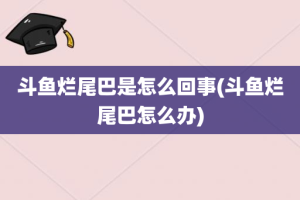 斗鱼烂尾巴是怎么回事(斗鱼烂尾巴怎么办)