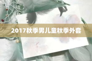 2017秋季男儿童秋季外套