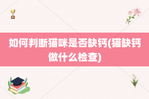 如何判断猫咪是否缺钙(猫缺钙做什么检查)