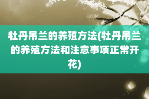 牡丹吊兰的养殖方法(牡丹吊兰的养殖方法和注意事项正常开花)