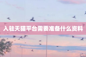 入驻天猫平台需要准备什么资料