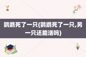鹦鹉死了一只(鹦鹉死了一只,另一只还能活吗)