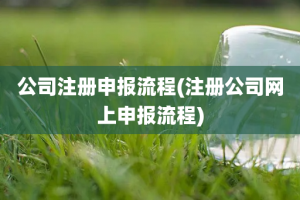 公司注册申报流程(注册公司网上申报流程)