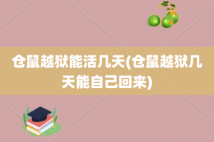 仓鼠越狱能活几天(仓鼠越狱几天能自己回来)