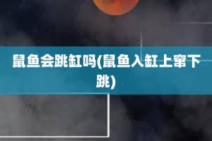 鼠鱼会跳缸吗(鼠鱼入缸上窜下跳)
