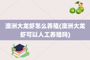 澳洲大龙虾怎么养殖(澳洲大龙虾可以人工养殖吗)