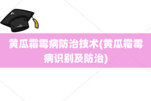 黄瓜霜霉病防治技术(黄瓜霜霉病识别及防治)