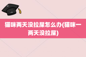 猫咪两天没拉屎怎么办(猫咪一两天没拉屎)