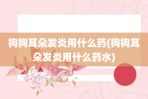 狗狗耳朵发炎用什么药(狗狗耳朵发炎用什么药水)