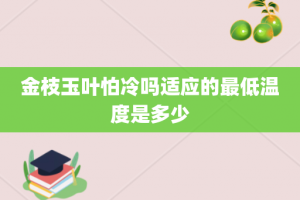 金枝玉叶怕冷吗适应的最低温度是多少