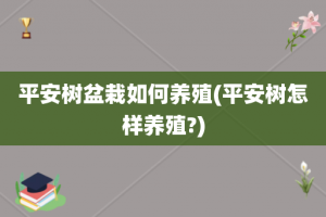 平安树盆栽如何养殖(平安树怎样养殖?)