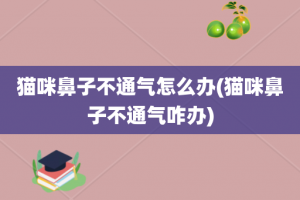 猫咪鼻子不通气怎么办(猫咪鼻子不通气咋办)