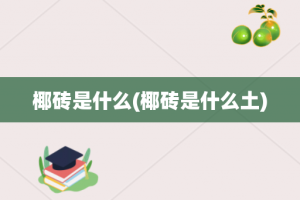 椰砖是什么(椰砖是什么土)