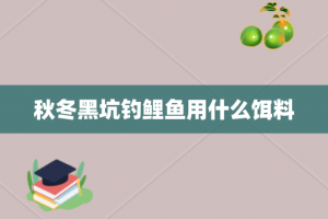 秋冬黑坑钓鲤鱼用什么饵料