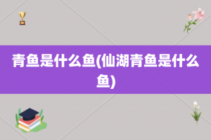 青鱼是什么鱼(仙湖青鱼是什么鱼)