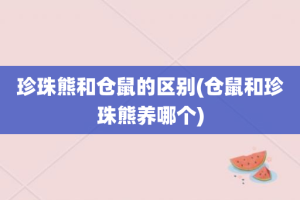 珍珠熊和仓鼠的区别(仓鼠和珍珠熊养哪个)