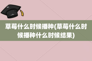 草莓什么时候播种(草莓什么时候播种什么时候结果)