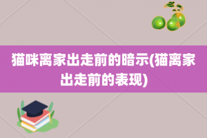 猫咪离家出走前的暗示(猫离家出走前的表现)