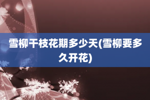 雪柳干枝花期多少天(雪柳要多久开花)