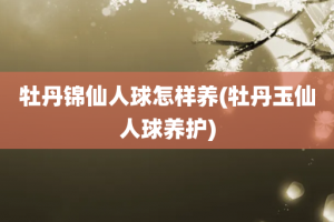 牡丹锦仙人球怎样养(牡丹玉仙人球养护)