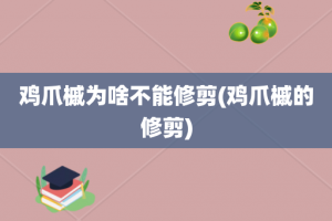 鸡爪槭为啥不能修剪(鸡爪槭的修剪)