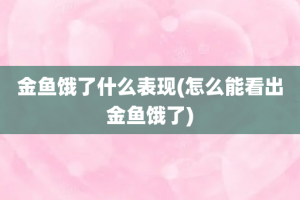 金鱼饿了什么表现(怎么能看出金鱼饿了)