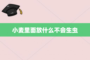 小麦里面放什么不会生虫