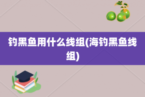 钓黑鱼用什么线组(海钓黑鱼线组)