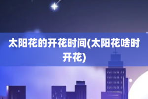 太阳花的开花时间(太阳花啥时开花)