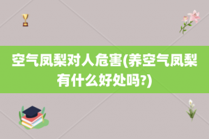 空气凤梨对人危害(养空气凤梨有什么好处吗?)