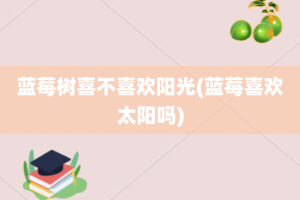 蓝莓树喜不喜欢阳光(蓝莓喜欢太阳吗)