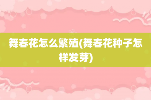 舞春花怎么繁殖(舞春花种子怎样发芽)