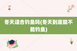 冬天适合钓鱼吗(冬天到底能不能钓鱼)