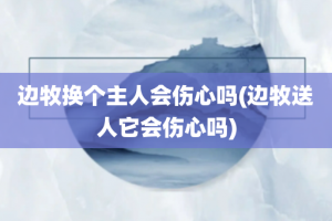 边牧换个主人会伤心吗(边牧送人它会伤心吗)