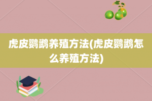 虎皮鹦鹉养殖方法(虎皮鹦鹉怎么养殖方法)