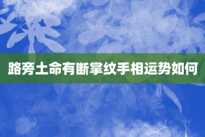 路旁土命有断掌纹手相运势如何