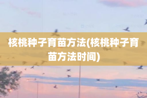 核桃种子育苗方法(核桃种子育苗方法时间)